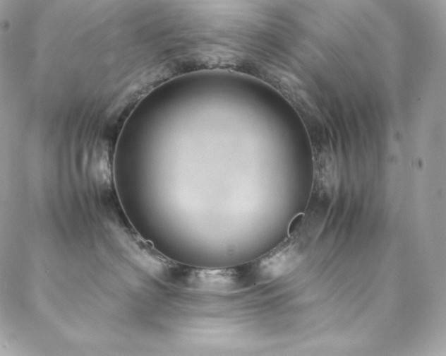 X0000089460622200706151435