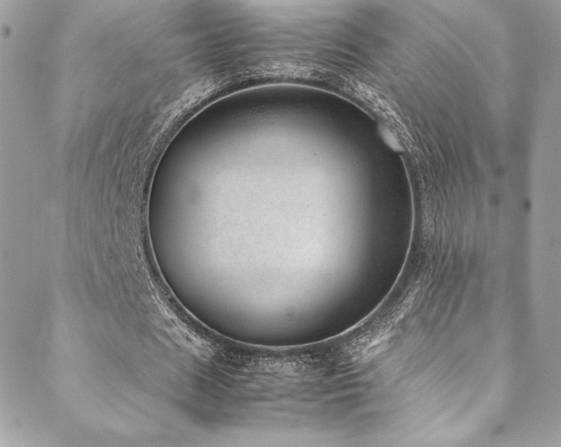 X0000089460625200706151434