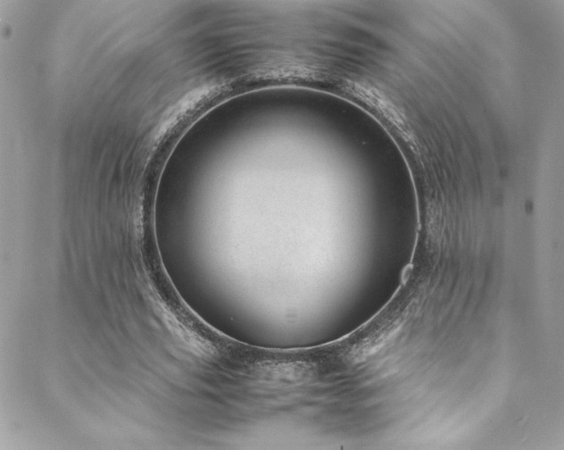X0000089460629200706151434