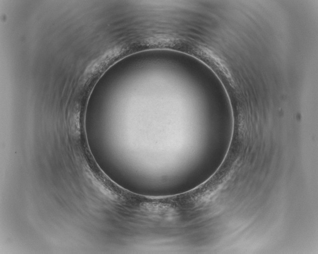 X0000089460633200706151435