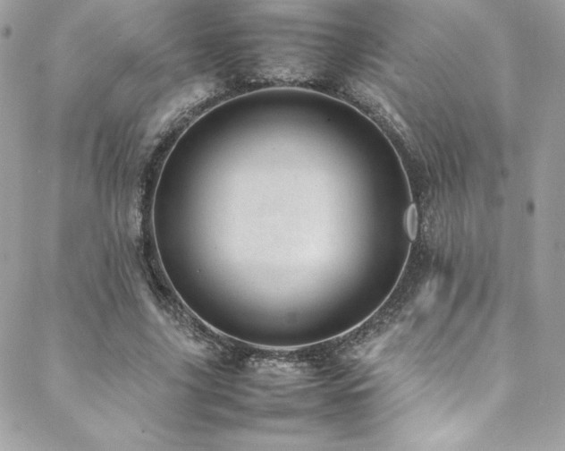 X0000089460635200706151435