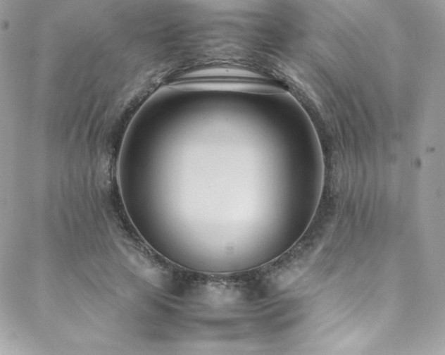 X0000089460641200706151435