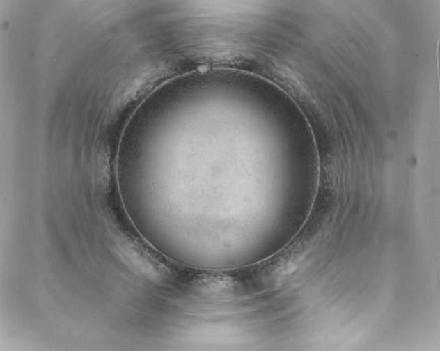 X0000089460642200706151435