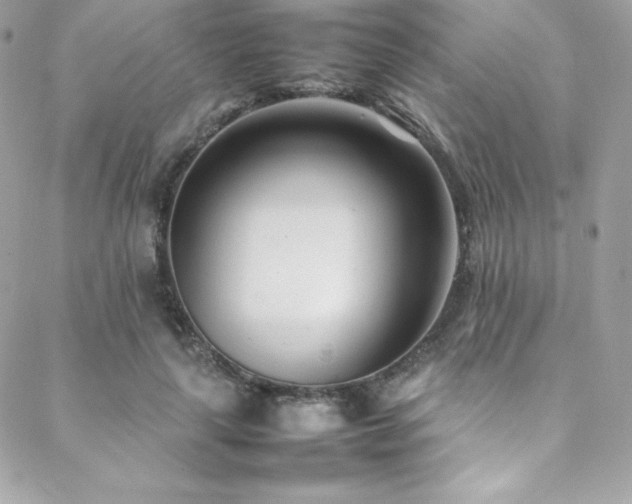 X0000089460643200706151435