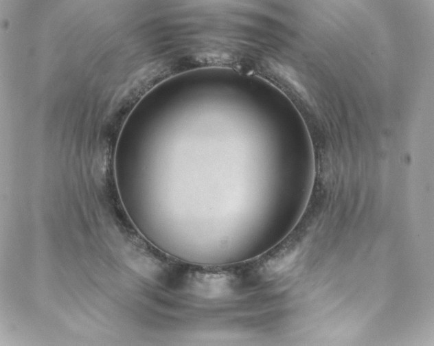 X0000089460645200706151435