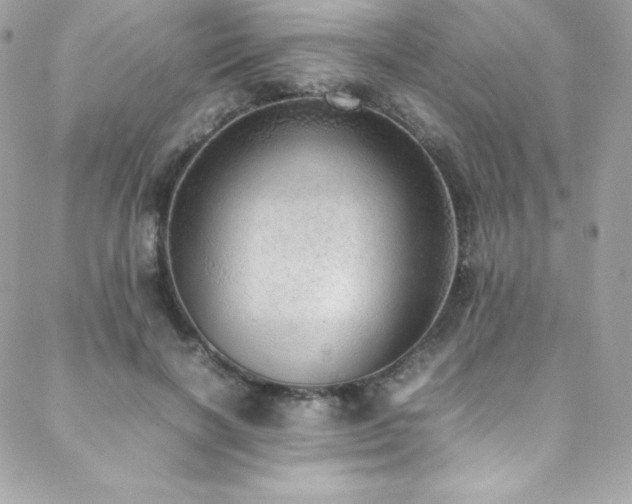 X0000089460646200706151435