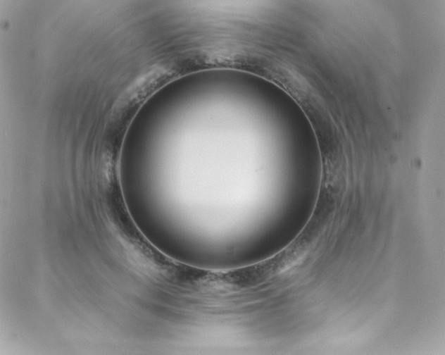 X0000089460648200706151435