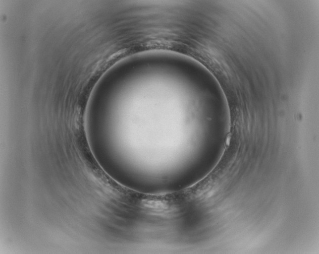 X0000089460649200706151435