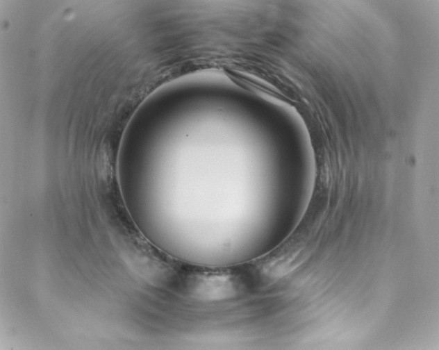 X0000089460651200706151435