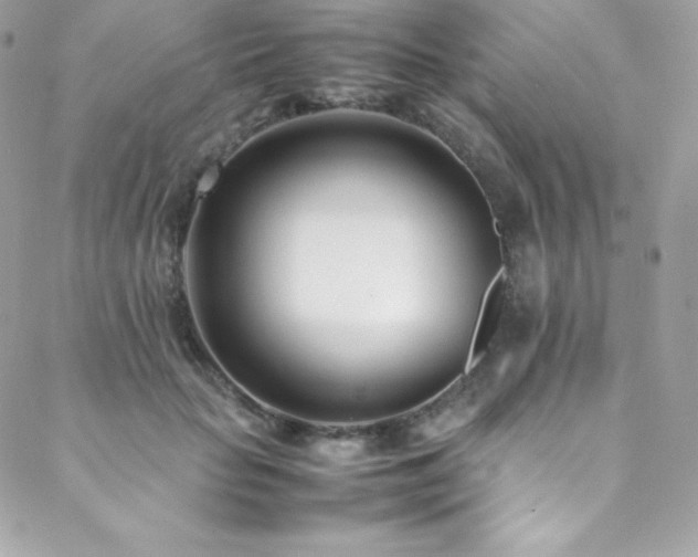 X0000089460653200706151435