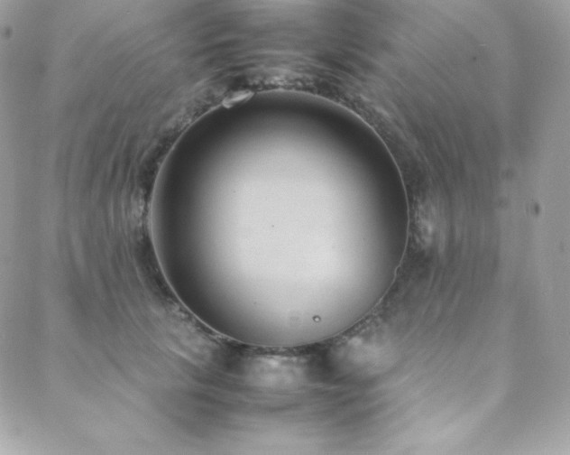 X0000089460657200706151435