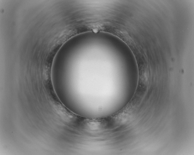 X0000089460658200706151435