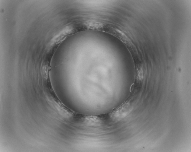 X0000089460666200706151435