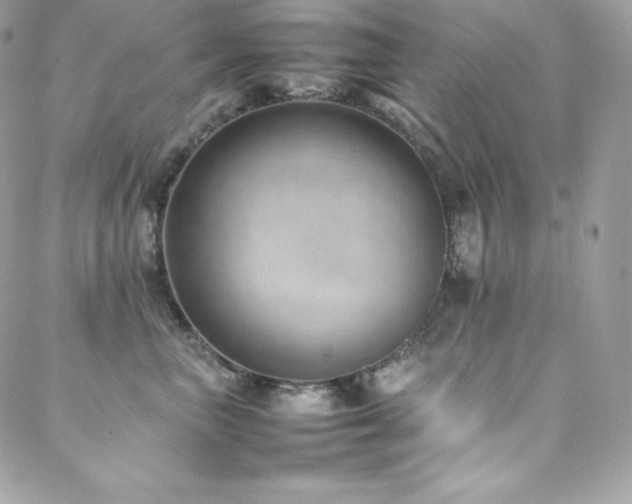 X0000089460667200706151435