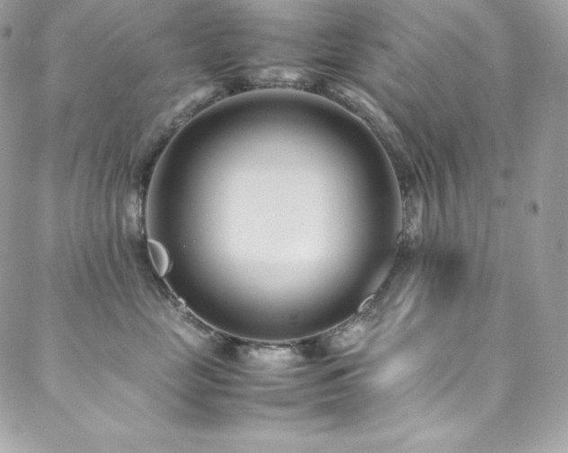 X0000089460669200706151435