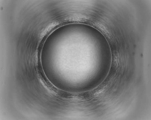 X0000089460678200706151434