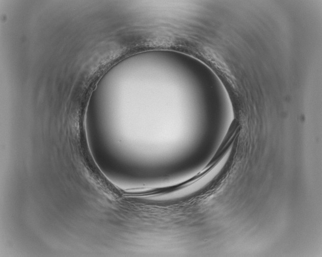 X0000089460681200706151434