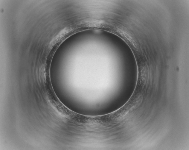 X0000089460682200706151434