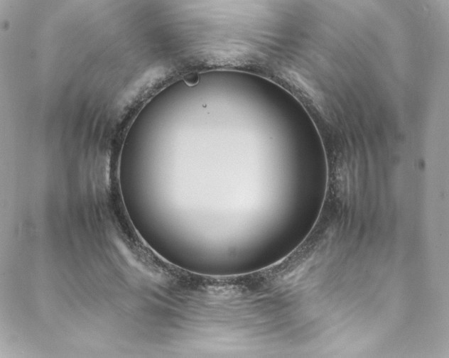 X0000089460686200706151434