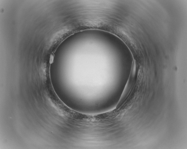 X0000089460688200706151434