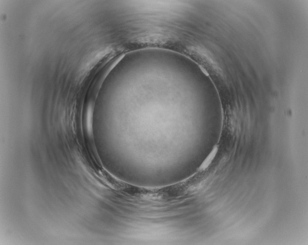 X0000089460692200706151434