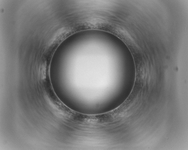 X0000089460694200706151434
