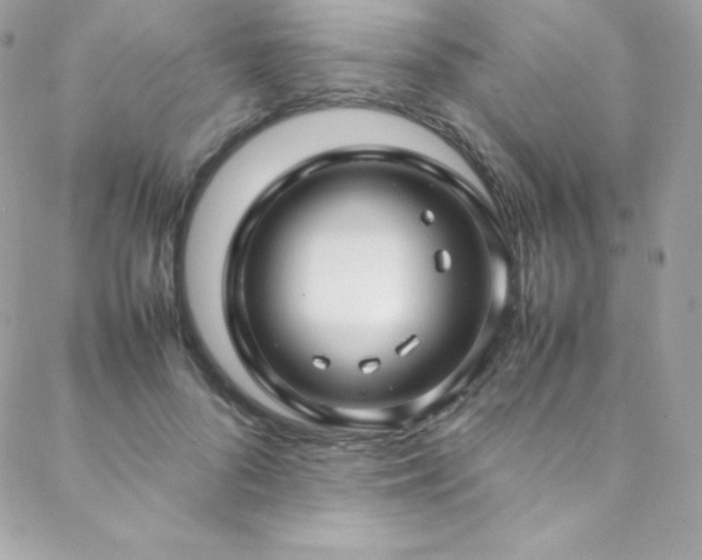 X0000089460696200706151434