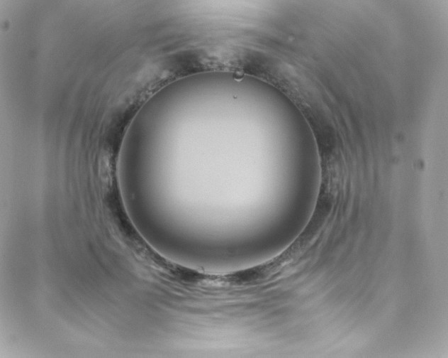 X0000089460699200706151434