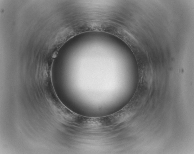 X0000089460702200706151434