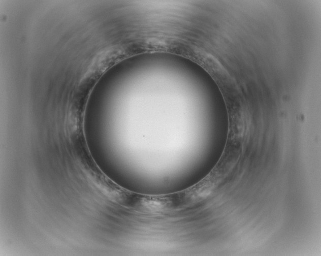 X0000089460706200706151434