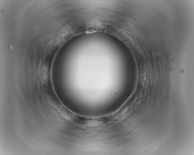 X0000089460708200706151434