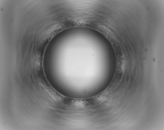 X0000089460710200706151434
