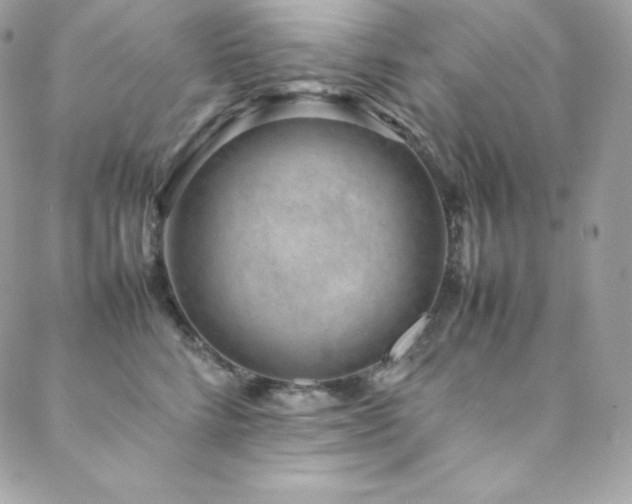 X0000089460712200706151434