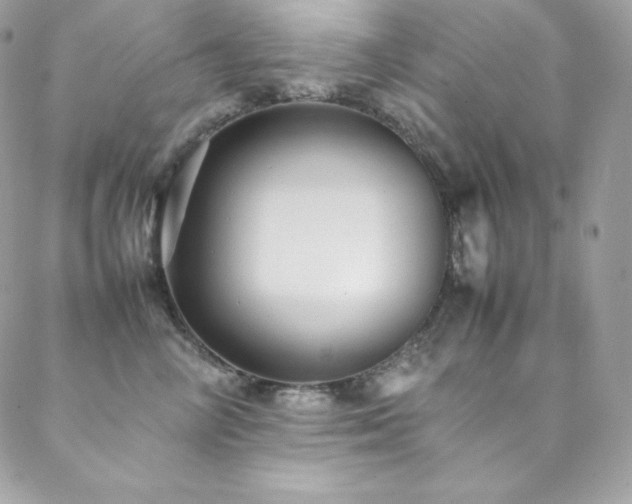 X0000089460714200706151434