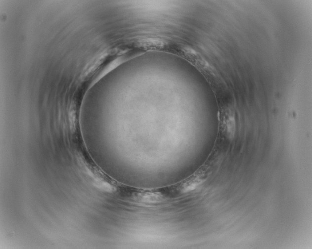 X0000089460716200706151434