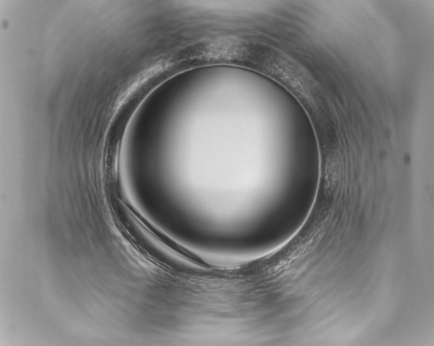 X0000089460722200706151433