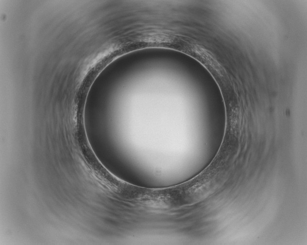 X0000089460727200706151433