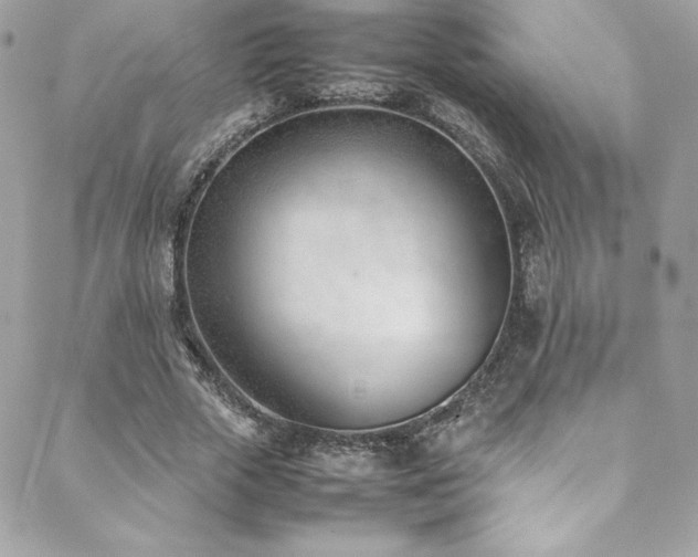 X0000089460729200706151433