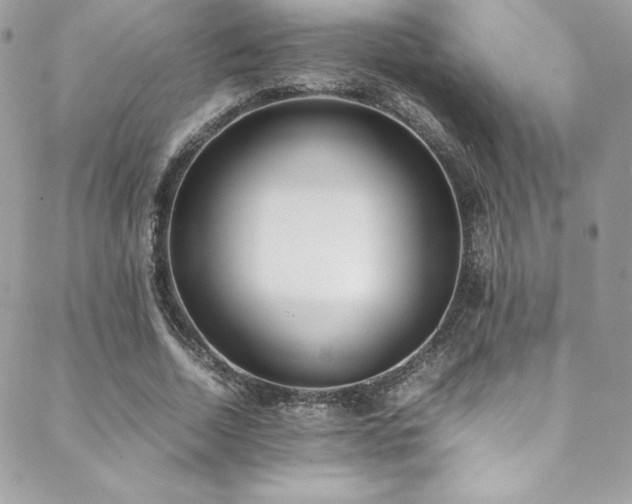 X0000089460730200706151433