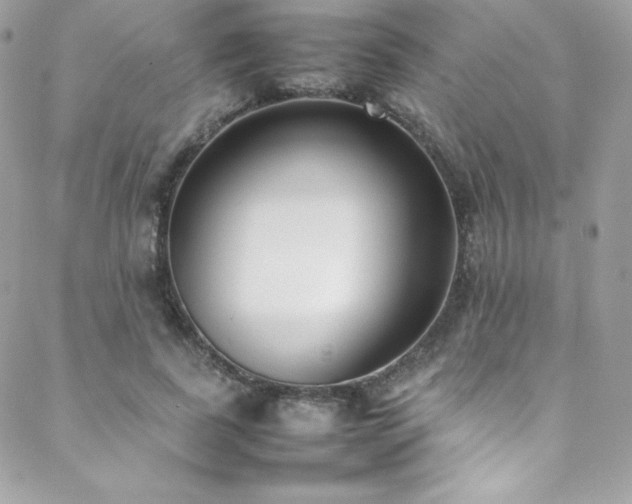 X0000089460739200706151433