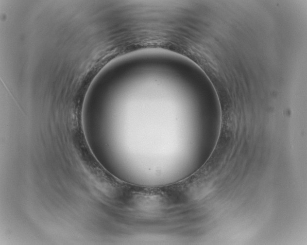 X0000089460743200706151433