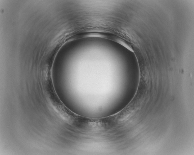 X0000089460744200706151433