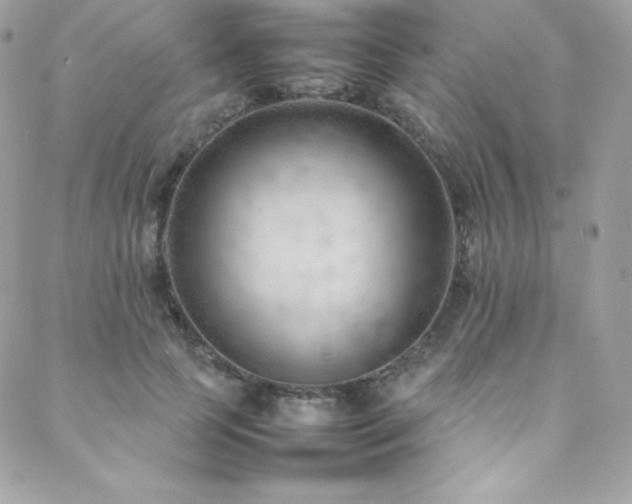 X0000089460745200706151433
