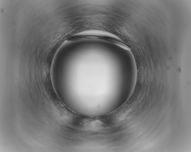 X0000089460747200706151433