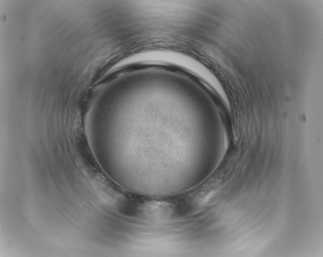 X0000089460748200706151433