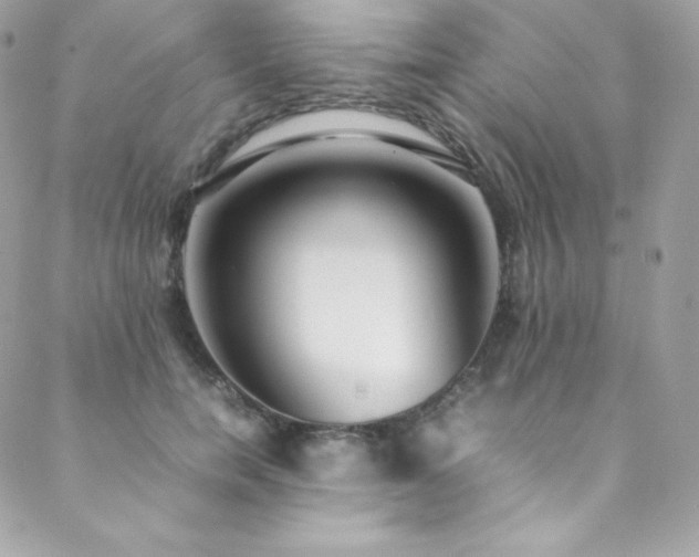 X0000089460750200706151433