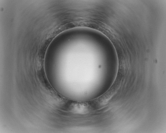 X0000089460751200706151433