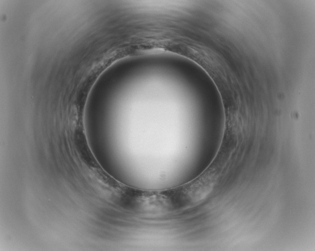 X0000089460752200706151433
