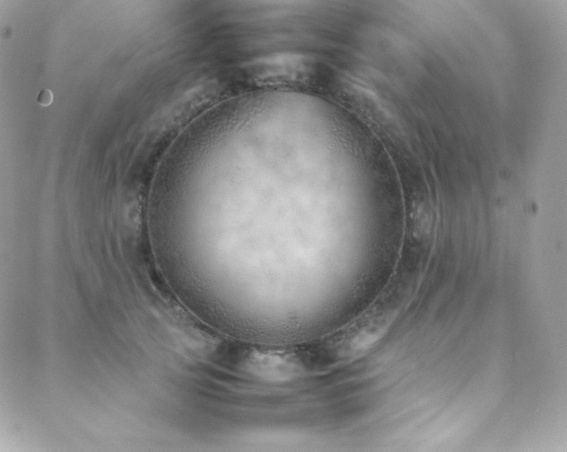 X0000089460753200706151433