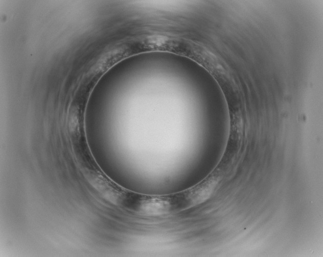 X0000089460754200706151433